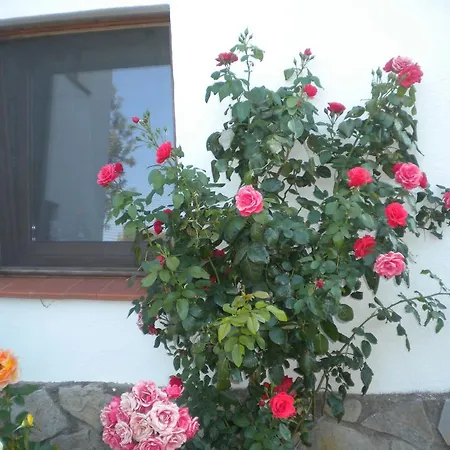 Cami D'en Gala Ξενοδοχείο Τορτόζα
